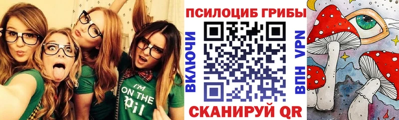 Галлюциногенные грибы GOLDEN TEACHER  Череповец 