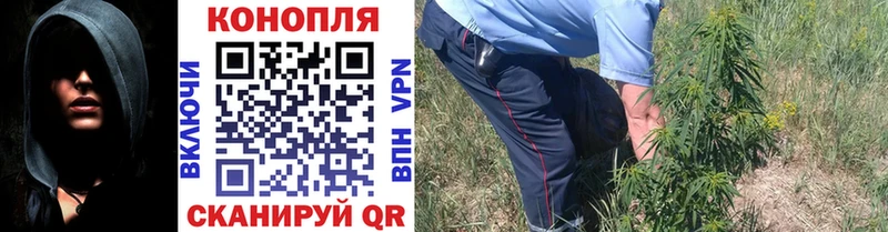 Канабис сатива  Череповец 